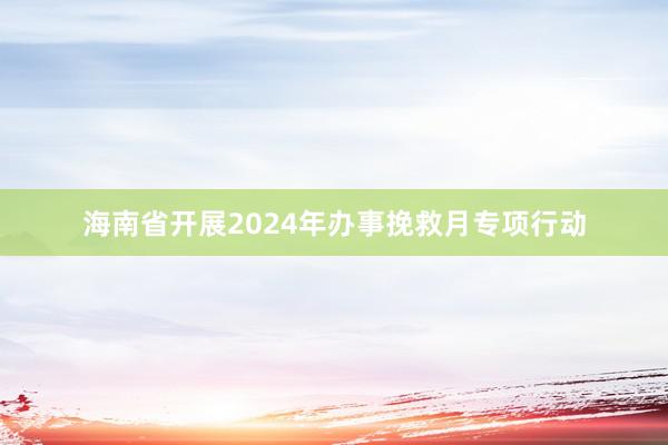 海南省开展2024年办事挽救月专项行动